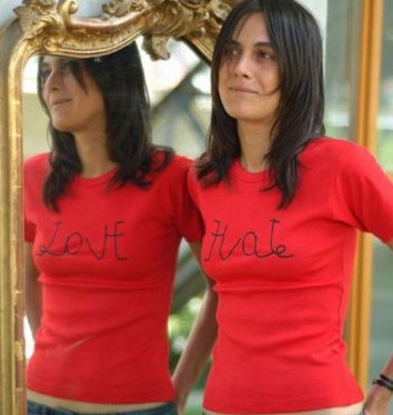 loveorhate-354x374
