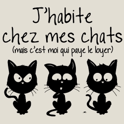 t-shirt J&rsquo;habite chez mes chats
